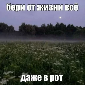 Стикер 16 из набора Треш мемы 6