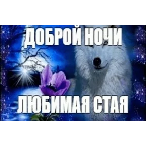 Стикер 65 из набора Треш мемы 6