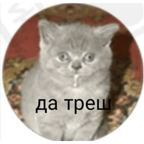 Стикер 46 из набора Треш мемы 7