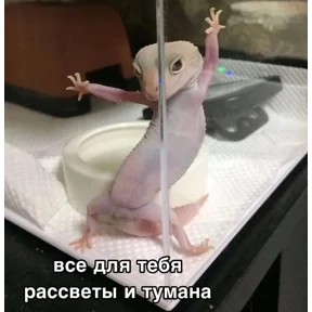 Стикер 16 из набора Треш мемы 9
