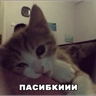Обложка набора твииии
