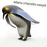 Обложка набора тыыннаах