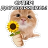 Обложка набора Виртуозы