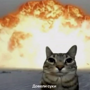 Обложка набора всратые коты
