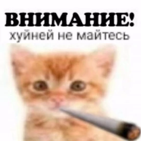 Стикер 7 из набора всратые коты