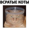 Обложка набора Всратые животные
