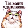 Обложка набора Всякие