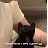 Обложка набора Я же маша