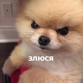 Стикер 6 из набора Забавные животные