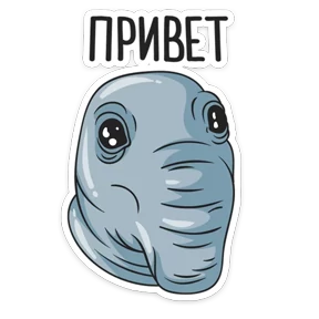 Обложка набора Ждун