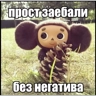 Обложка набора Жиза